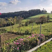 Ausblick zum Kleeberg bei Gleisdorf in der Oststeiermark
