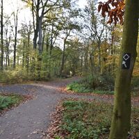 Wanderwege auf der Sechs-Seen-Platte in Duisburg