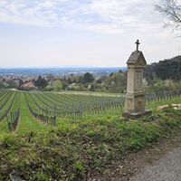 Wein-Gedenkstein