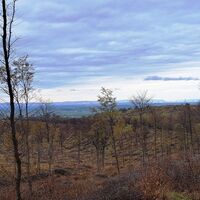 Am Weg zur Franz Josefs Warte nahe Pfaffenberg