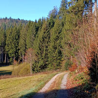 Durchgehend gemütliche Wanderwege