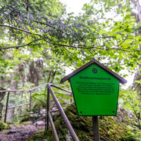 Weg zum Stralbrusch