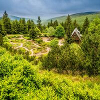 Rennsteiggarten - Oberhof