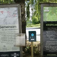 Stempel Wollschweine vor dem Eingang zum Gutsheurigen