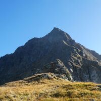 Blick zum Waldhorn