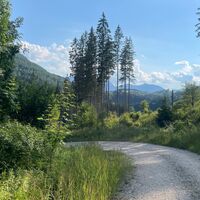 L3 Rinnerberger Trail