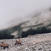 Processed with VSCO with c4 preset
