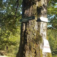 Wanderschild Königshäuschen