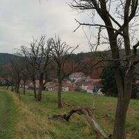 Links und rechts des Rothehofbaches