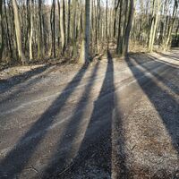 Weidlingbach - Steinriegl – Windischhütte