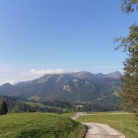 Blick auf die Winterstaude