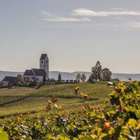 Hallauer Bergkirche St. Moritz