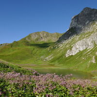 Seemauer