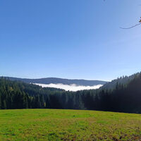 Wechsel aus Wald und Grünland