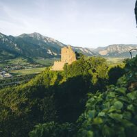 Geniesse die Aussicht auf Wartenstein