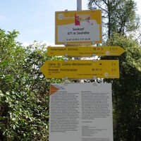 Seekopf