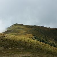 Am Weg zum St. Veiter Schneeberg