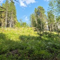 am Aufstiegssteig