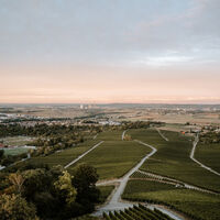 Ausblick Heuchelberger Warte | HeilbronnerLand