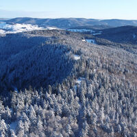 Todtmoos Winterwanderung Drei P sse Tour 4
