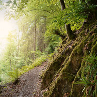 Natursteig Sieg bei Dattenfeld