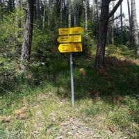Wegweiser Hohe Bank Diemersteig