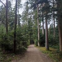 Rückweg über Sebastianweg