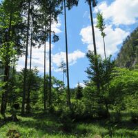 Frauenstein - Klaus - Steyerling - Brunnental - Ringsattel - Almtaler Haus - Gr. Ödsee - Hintere Hetzau