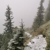 Abstieg in Richtung Kreuth