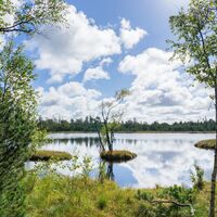 Am Wildsee sollte man den tollen Blick auf die einzigartige Natur genießen