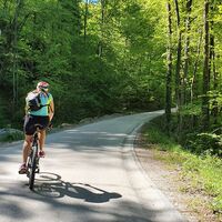 Die schmale asphaltierte Straße hinauf in den Wald