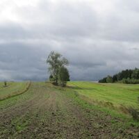 Haugschlag - Gmünd