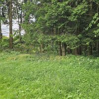 7.5 km Am Nordrand von St. Agatha rechts in kurzen Waldsingle