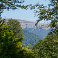 Blick auf den Belchen, das Ziel der Wanderung