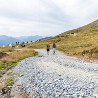 Forstweg nach Grauberg