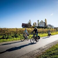 Radfahren in der Südsteiermark