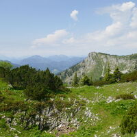 Rückblick zum Noten
