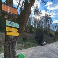 am Weg zur Augustinerhütte