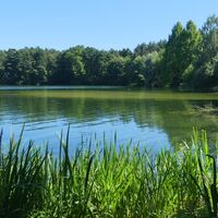 Habichtsee