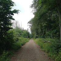 über den Obernberg wandernd unterwegs