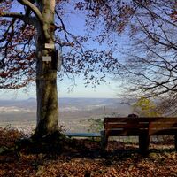 Aussichtspunkt Fuchseck Bank