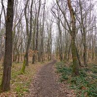 Weg in Richtung Preußenturm