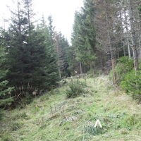am Rückweg Richtung Pfaffenalm
