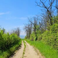 Abfahrt nach Leitzersdorf