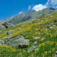 Alle paar Meter ändert sich der Blickwinkel und wir müssen immer wieder unsere Kamera zücken, um diese fantastische Landschaft auf Fotos einzufangen.