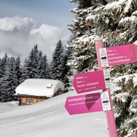 Panyer Rundtour Schneeschuhtour