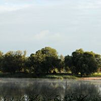 Gartower See