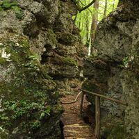 Wald aus Felsblöcken am Lipnica-Burgenweg (Abschnitt „Galerije“)