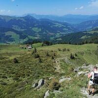 Wildschönau Vordere Feldalm.jpg
