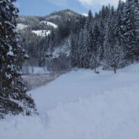 nach Schwarzseebad-Winterwanderung Seerundgang Schwarzsee